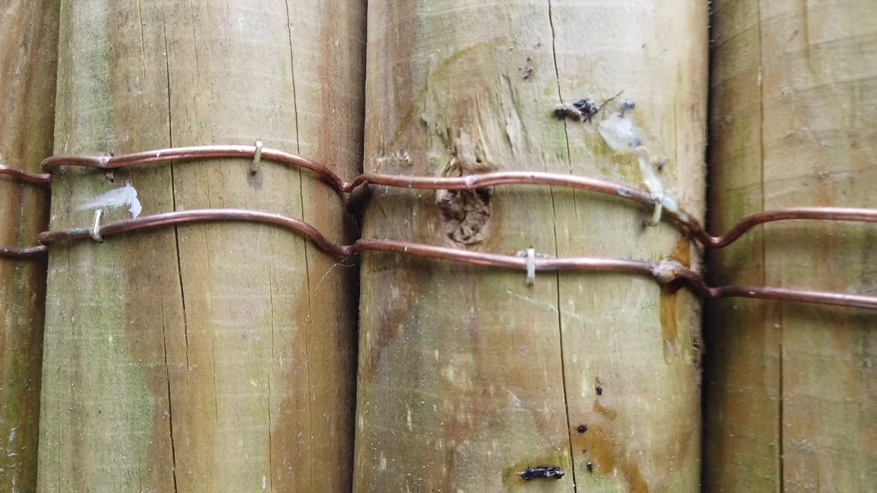 barrière anti -limaces