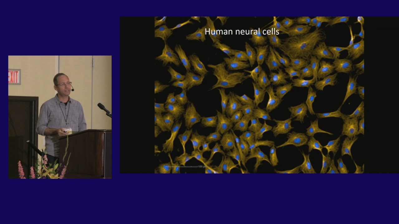 Stephens Rehen: Biological Effects of Ayahuasca in Human Neural Stem Cells & Minibrains