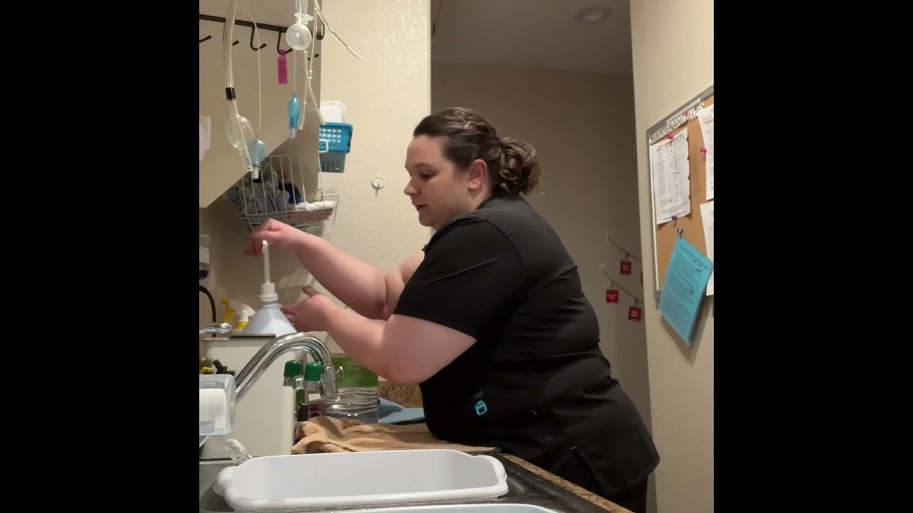 Penn Foster Vet Tech Externship 2 Skill #3 Instruments