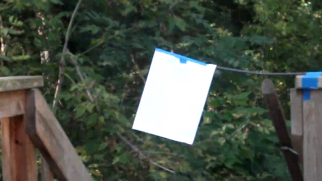 .22 bird shot spread