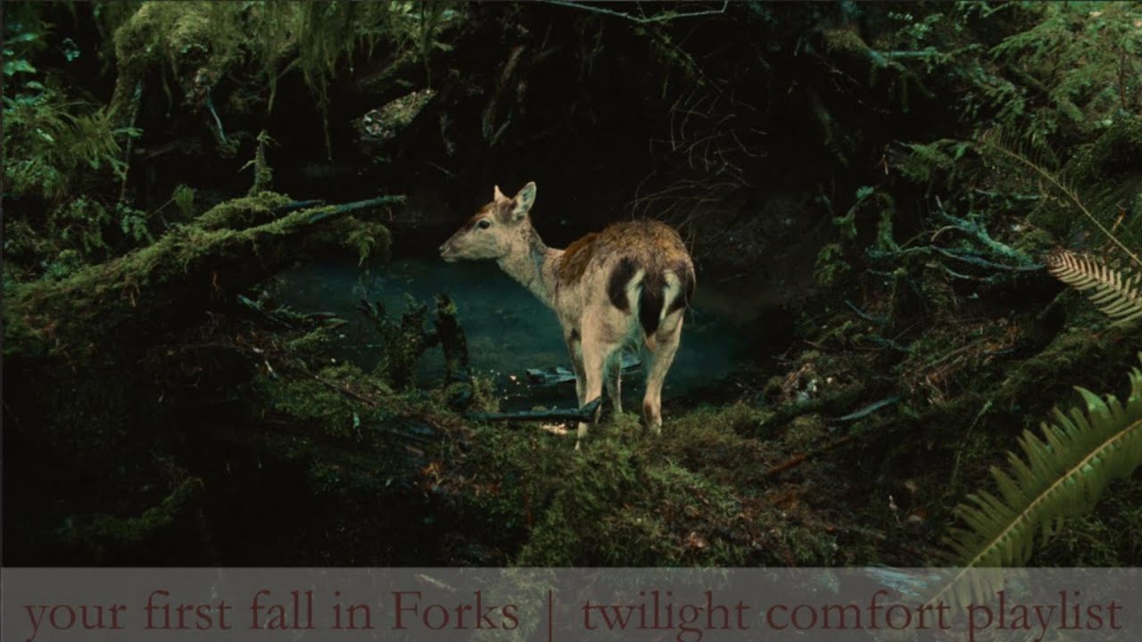 your first fall in Forks  | twilight comfort playlist