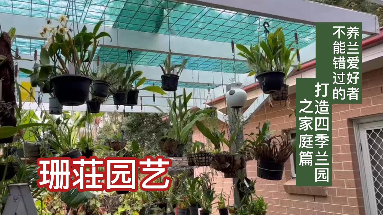 珊荘园艺 (001) 四季兰园系列一:适合自己家庭养兰环境的四季兰园是怎样打造出来的