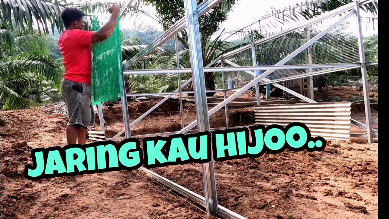 Upgrade reban ayam kampung// pasang jaring dawai hijau part 6