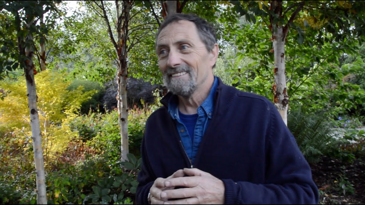 Ten dry shade loving plants recommended by John Lord