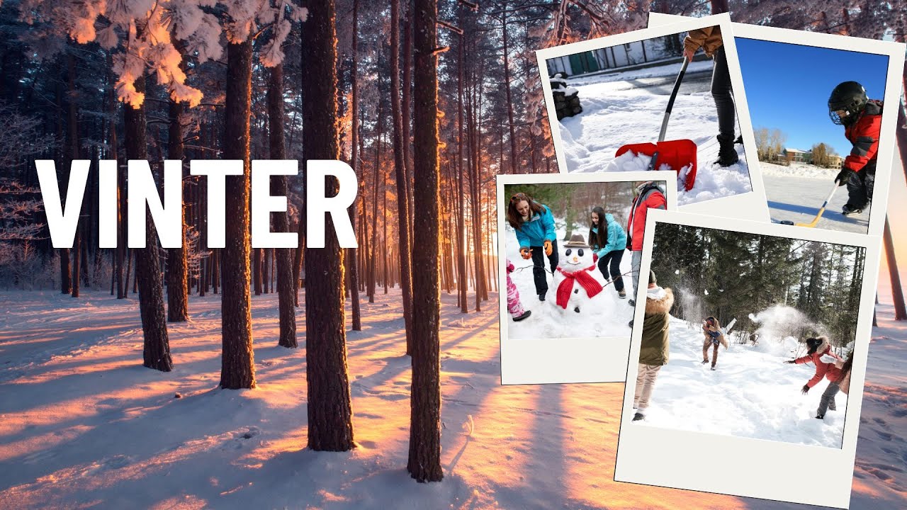 vinter, sfi