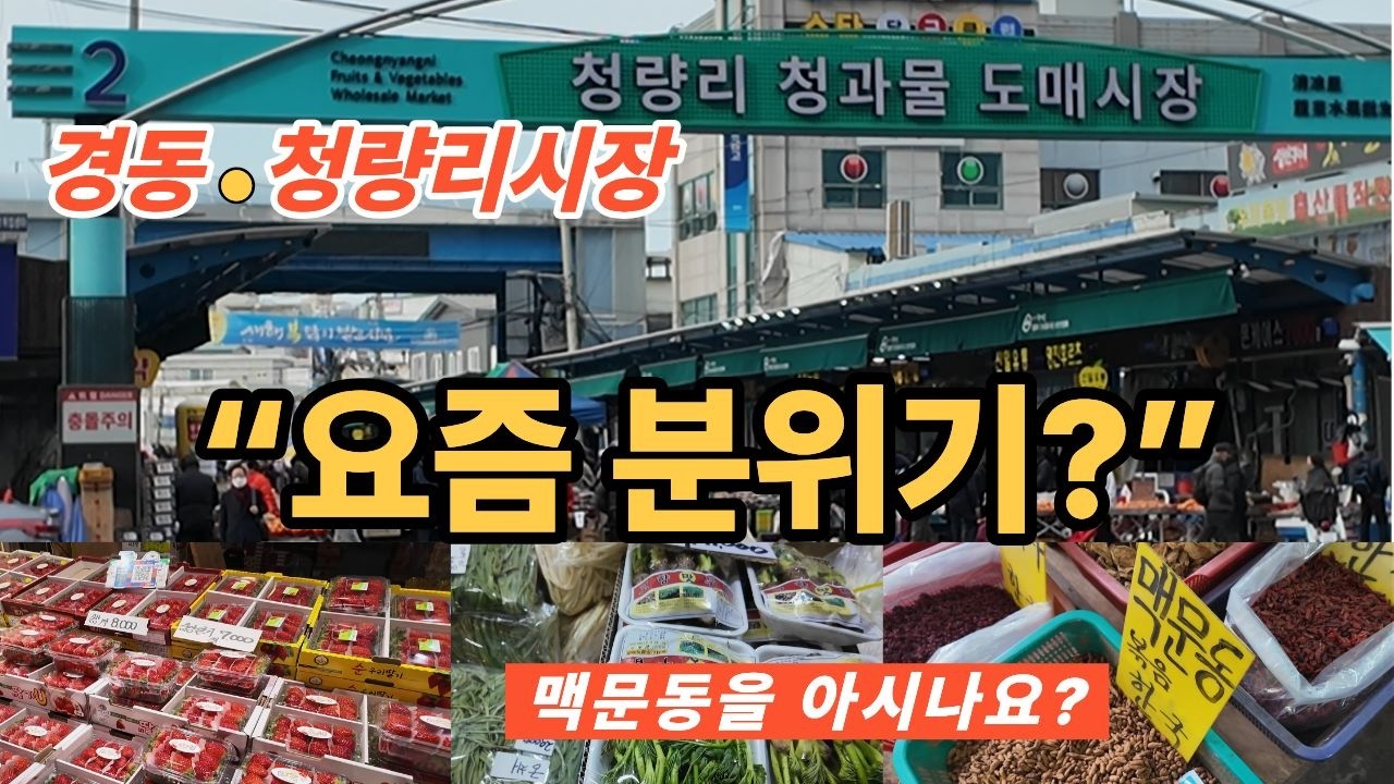 두릅 풀리자 사람 몰린 청량리·경동시장… 약초 시장 분위기 왜 이래? ~! 힐링여행
