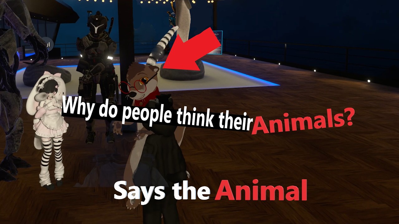Asking Randoms If They Believe In MANAGED DEMOCRACY