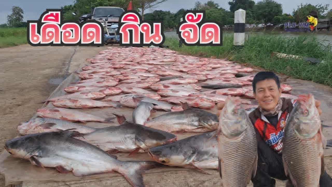 เดือดกินจัด ตกปลาบึงปึก2 อ.กงไกรลาศ จ.สุโขทัย (คลิปที่ 454)