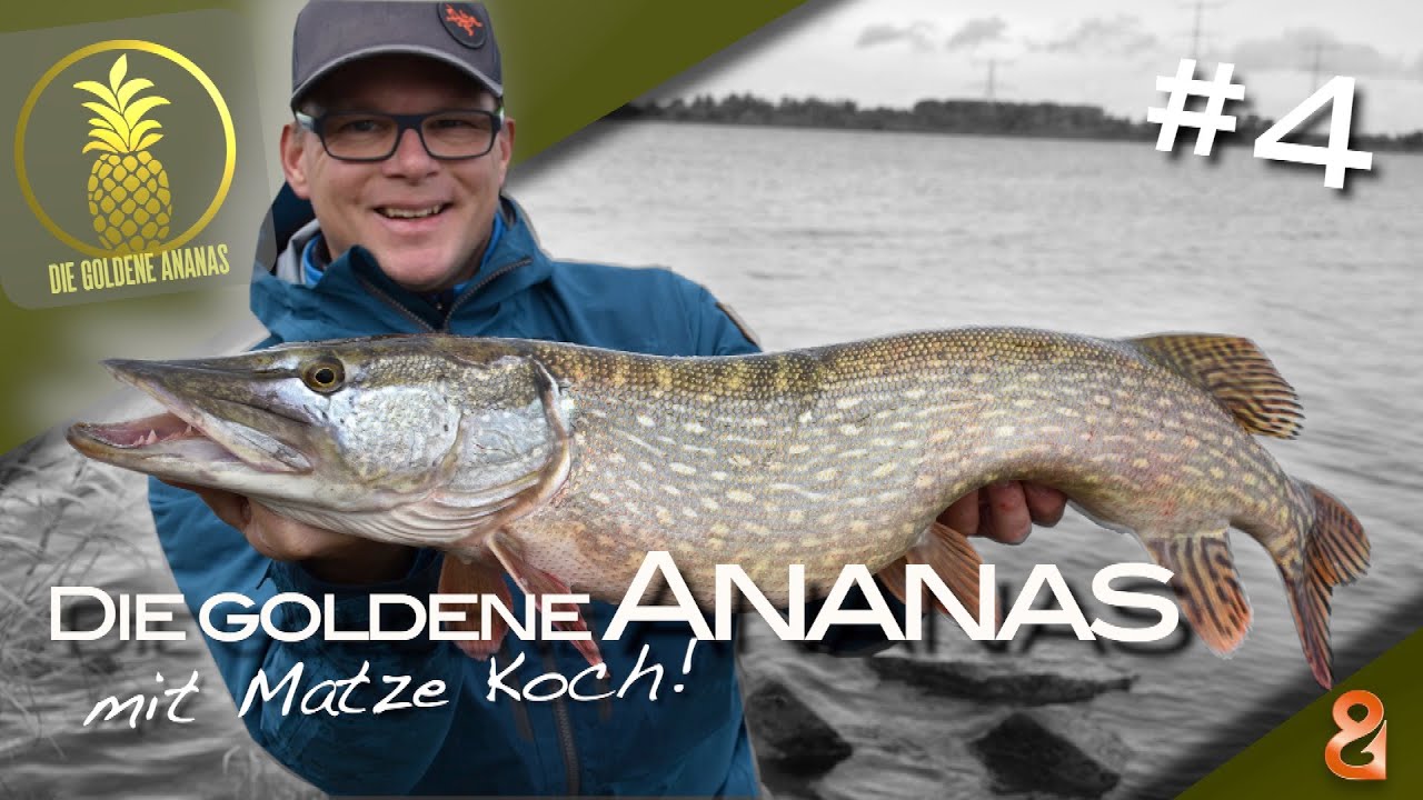 Fluss-Hechte drehen auf! Die goldene Ananas 🍍 / Folge 4
