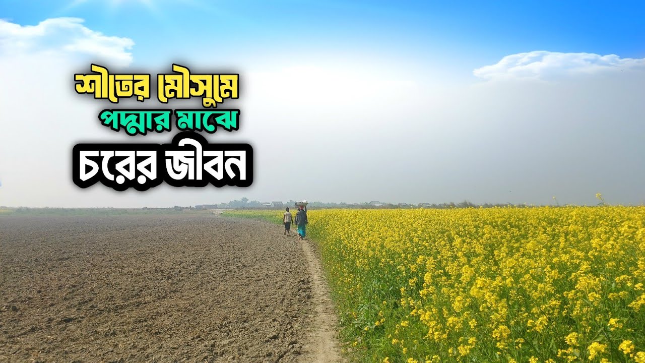  শীতের মৌসুমে চরের মানুষের জনজীবন || পর্ব ১ || Bangladesh Village life in Winter 