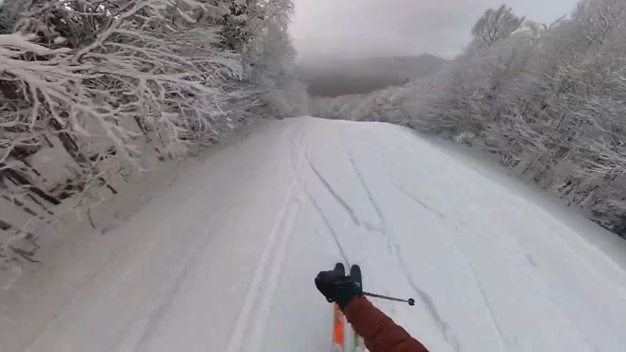 Fresh Snow at Bolton Valley