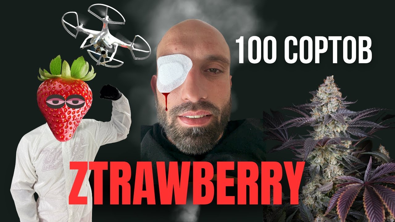100 Сортов. Ztrawberry - клубничный аромат, генетика и ВЫБИТЫЙ ГЛАЗ. QAP - новая профессия индустрии