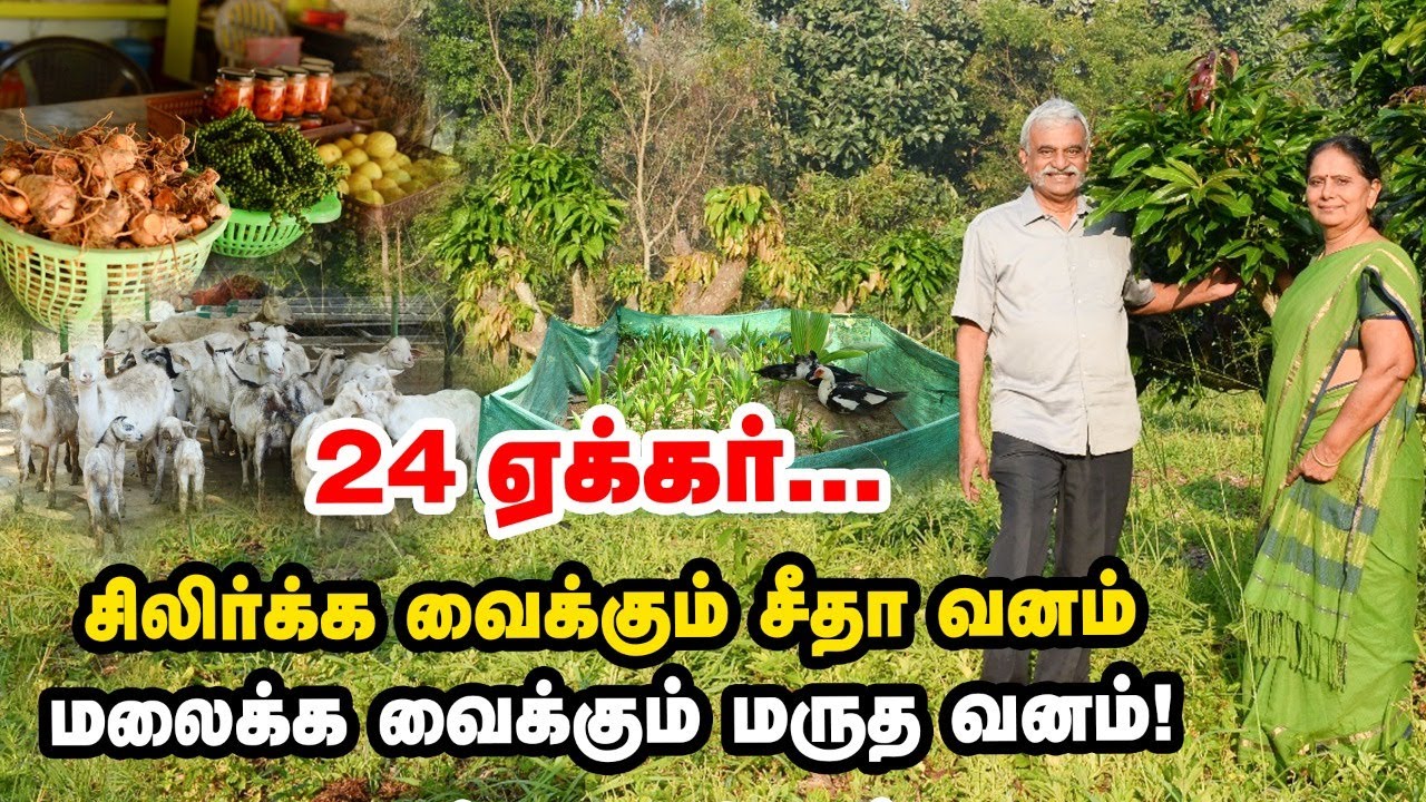 தென்னை முதல் காபி வரை  24 ஏக்கரில் அற்புதமான உணவுக்காடு - அசத்தும் கோவை விவசாய தம்பதி!