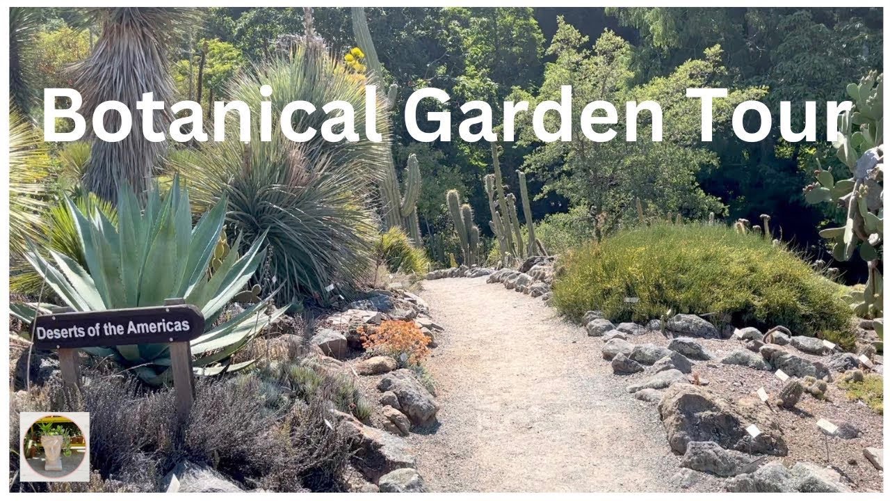 Botanical Garden Tour/Cactus and Succulents /UC Botanical Garden at Berkeley