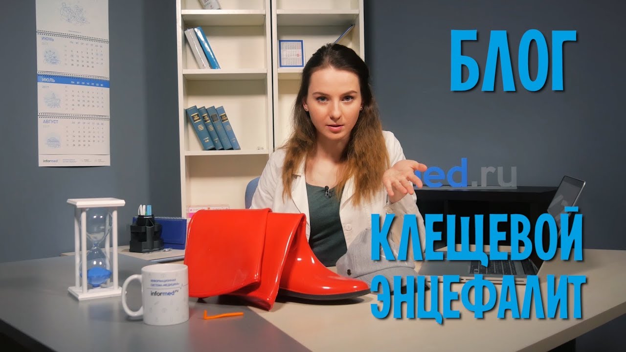 Энцефалитный клещ: как защититься и что делать, если клещ всё-таки укусил?