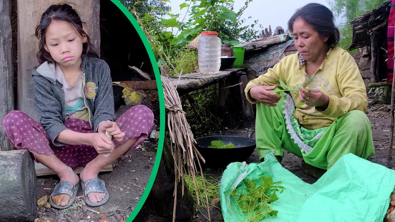 Family in the jungle || Season - 2 || Video - 25 || Life in the cowshed in Rural Nepal ||