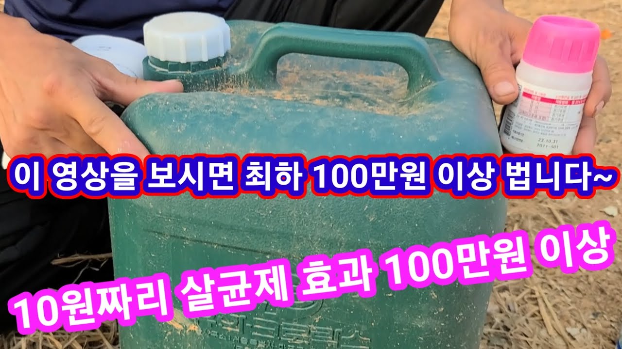 농업혁명 10원짜리 살균제 효과 100만원 이상 유한락스 하나로 세균성,곰팡이성  고추 탄저병 오이,참외,호박,흰가루병 노균병  수박 및 모든 작물에 효과 만점