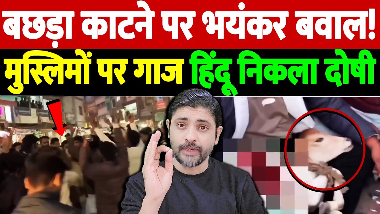 बछड़ा काटने पर भयंकर बवाल! मुस्लिमों पर गाज, हिंदू निकला दोषी | cow slaughter rumor | the live tv