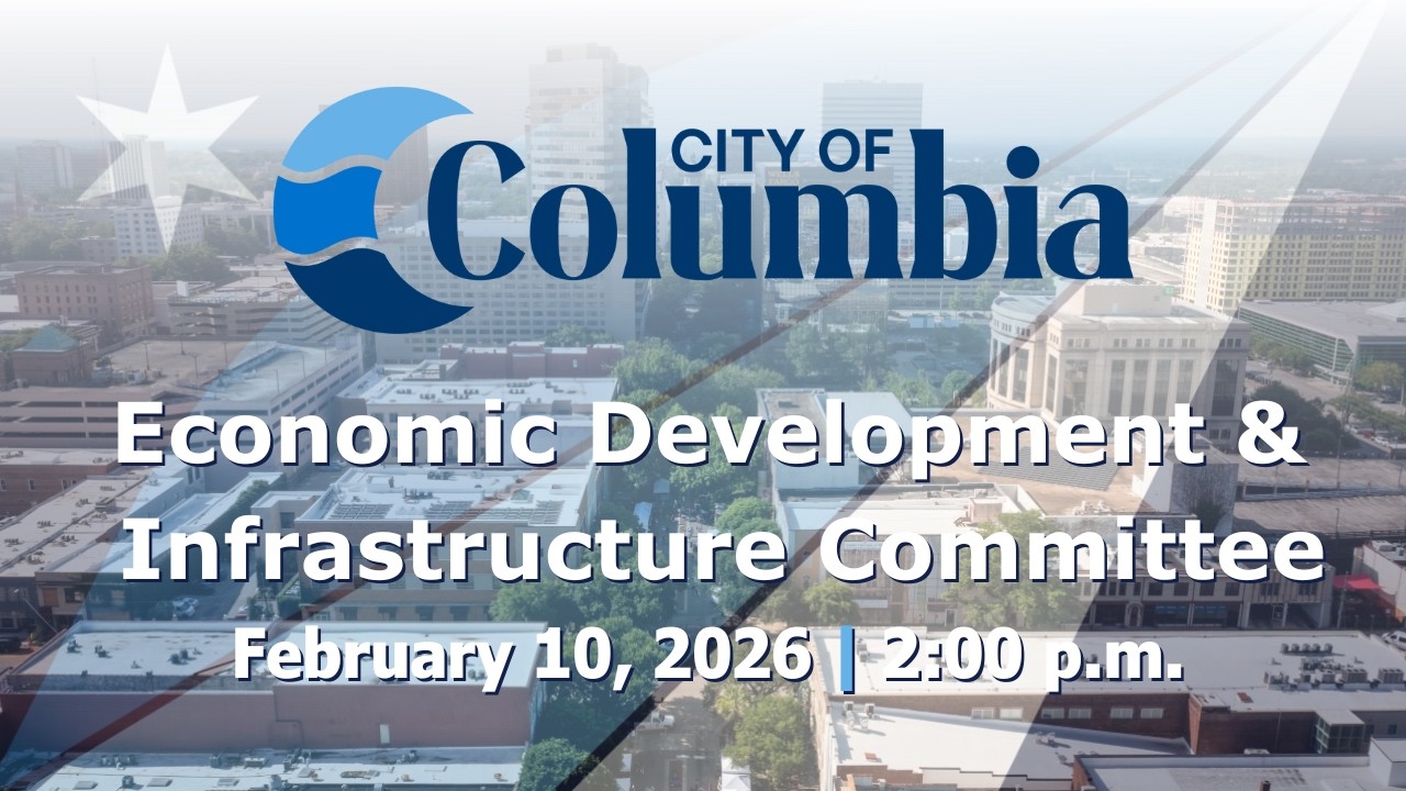 Economic Development and Infrastructure Committee | February 10, 2026