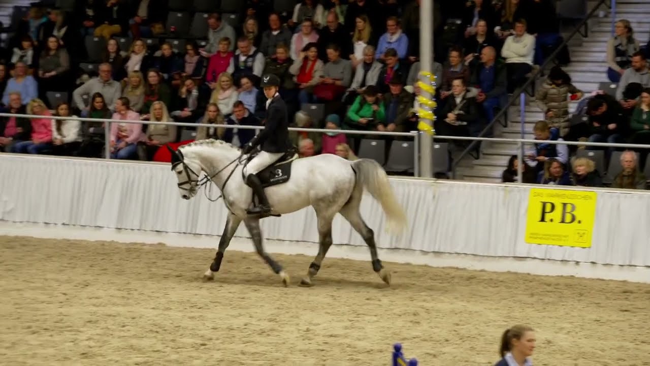 35 Cornet's Cero und 36 Madness PB Schau Verden 2023