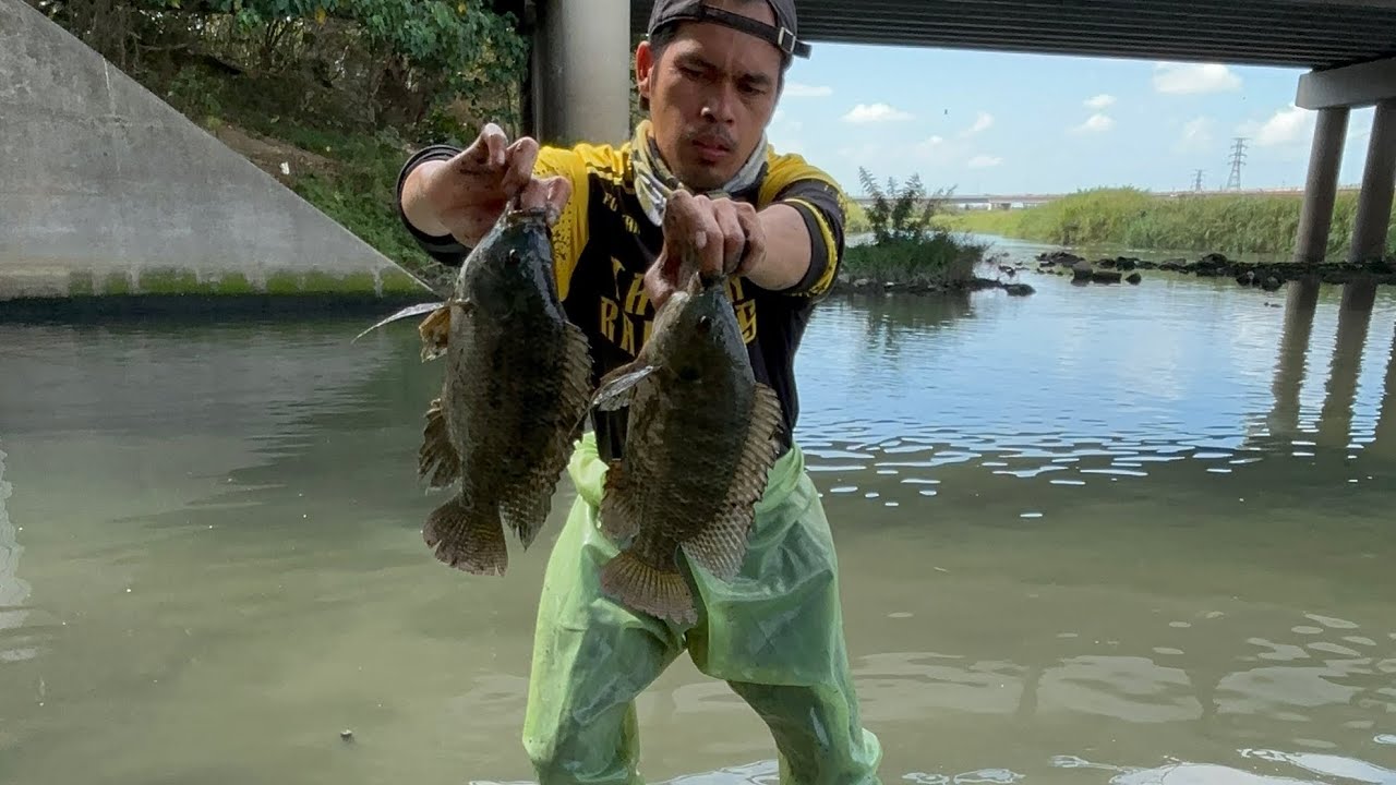 sulit ang isang hagis ng lambat sa dami ng huli #trendingvideo #fishing 