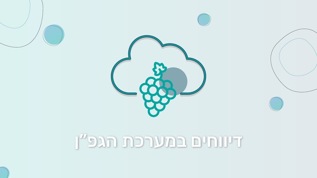 דיווח פעולות במערכת הגפ