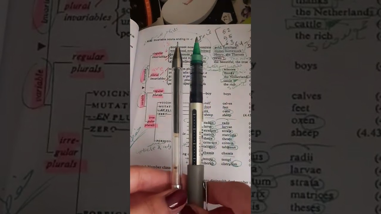 النحو المرحله الثالثه شرح chapter 4 موضوع ال number
