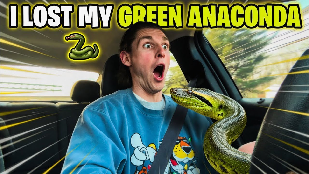 The Time I Lost My Green Anaconda 🐍 