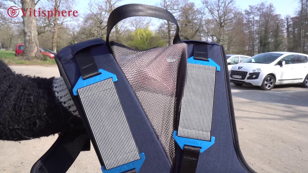 Quand les exosquelettes soulagent le dos des vignerons