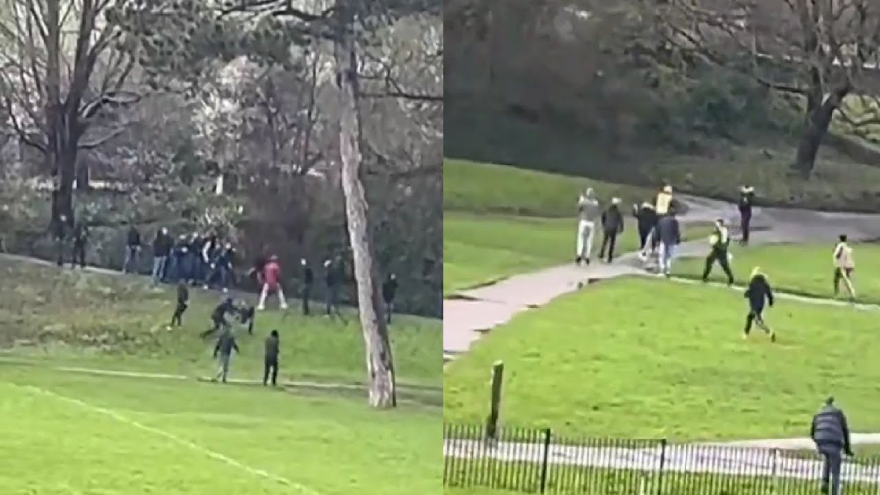 Bristol City vs Cardiff BRUTAL Brawl of Fans