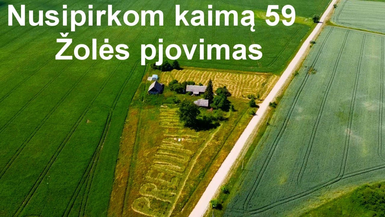 Nusipirkom kaimą 59 / Žolės pjovimas/ Youtubo pinigai/ Molinukas