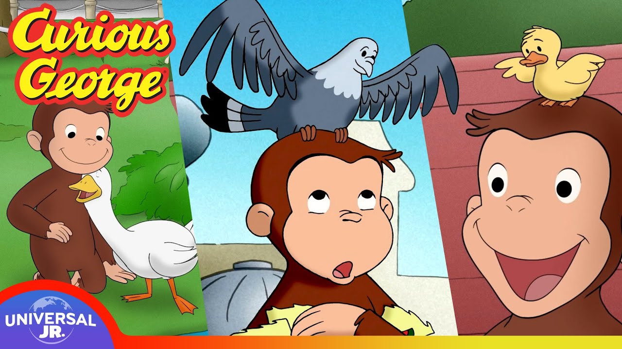 Birds are Buddies! 🦜 George's Adventures with Feathered Friends | CURIOUS GEORGE