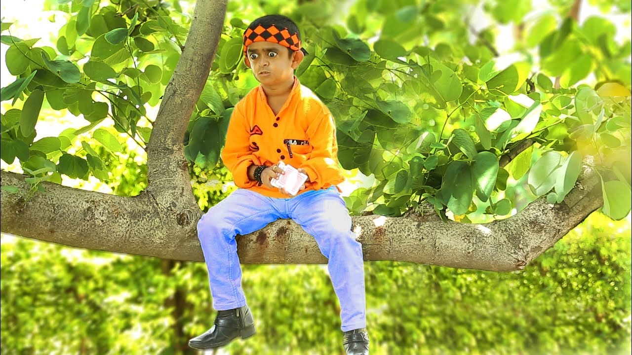 छोटू के ढोकले | CHOTU KE DHOKLE | Khandesh Hindi Comedy | Chotu Dada Comedy Video