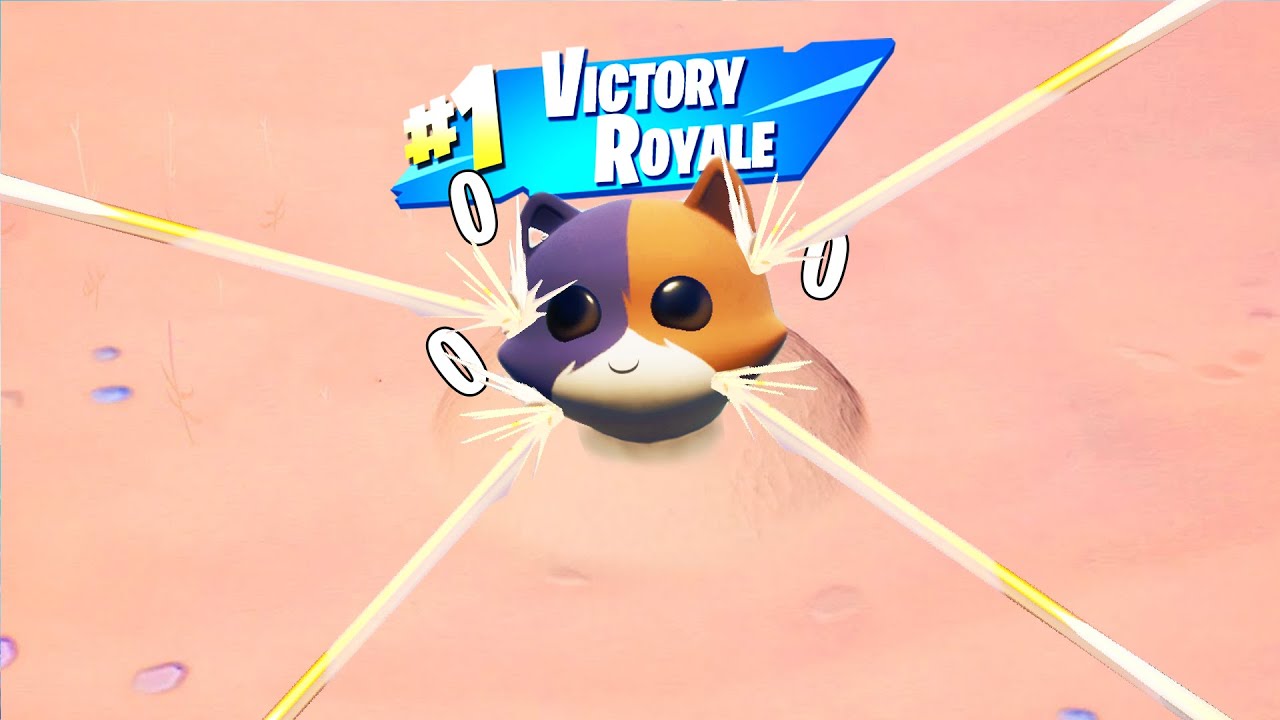 CASSER FORTNITE SAISON 5 (glitch d'invincibilité)
