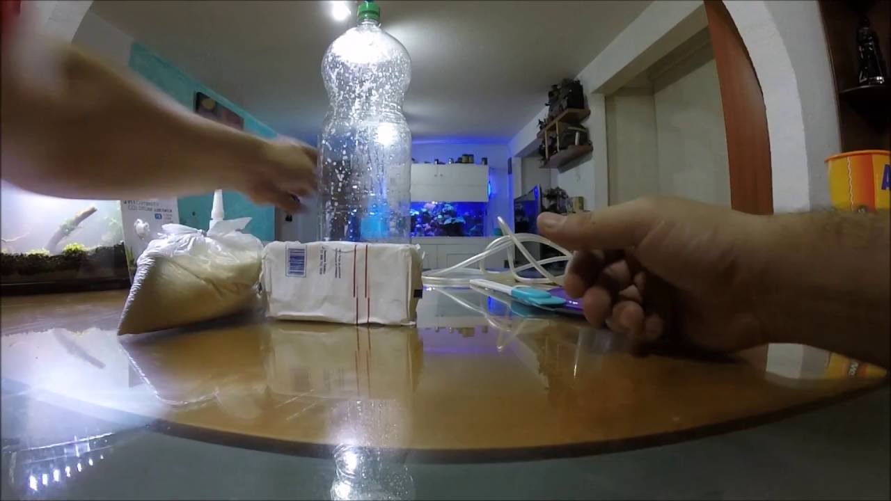 Como hacer CO2 casero||||||👍