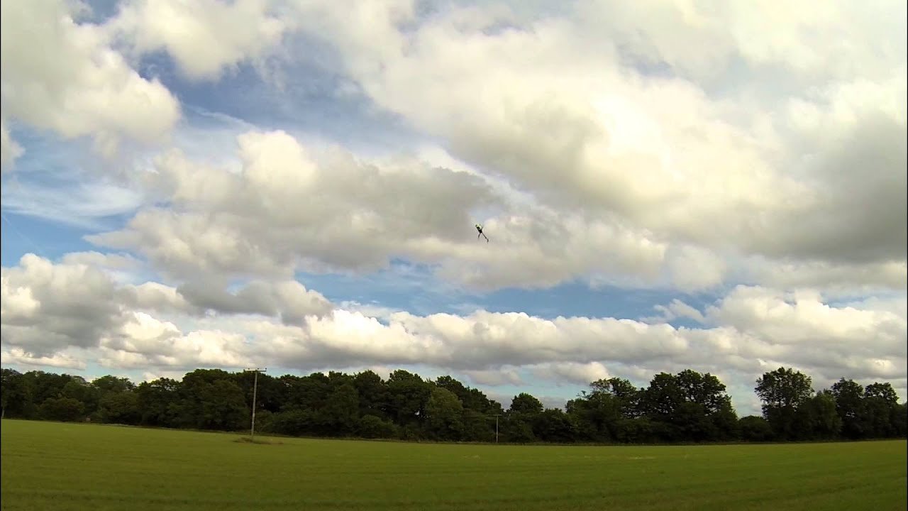 TREX 550E Pro DFC Maiden + Tuning