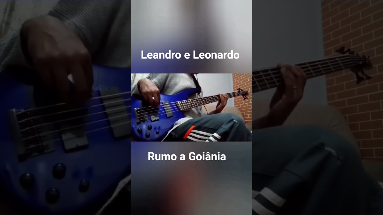 #musica #playlistsertaneja #anos70s80s90s @LeandroeLeonardoVEVO @LeonardoCantor