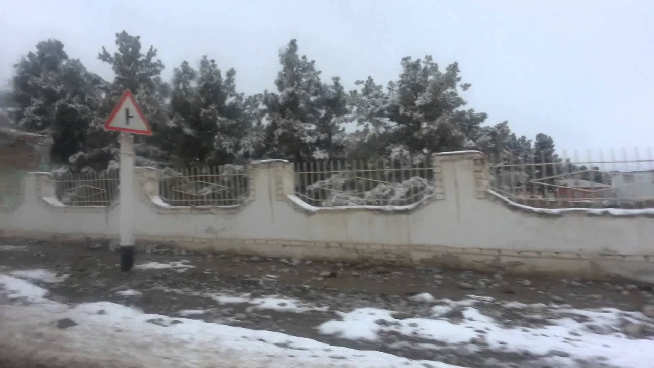 Surhondaryo toglari