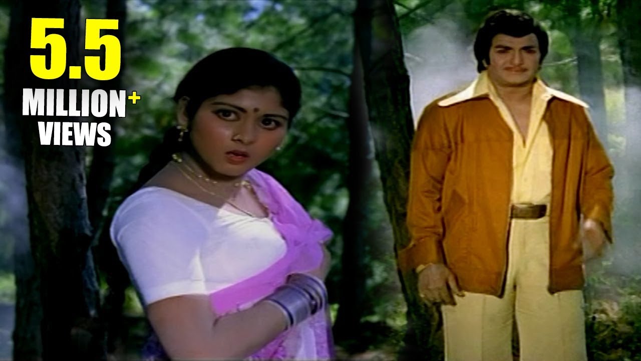 Driver Ramudu Movie || Vangamaaku Video Song || NTR,Jayasudha
