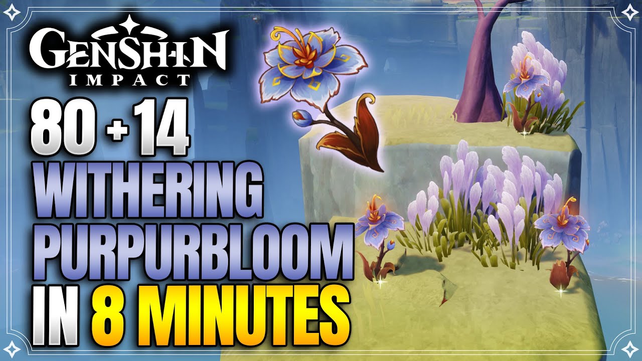Withering Purpurbloom Locations | Fast and Efficient | Mavuika Ascension Materials【Genshin Impact】