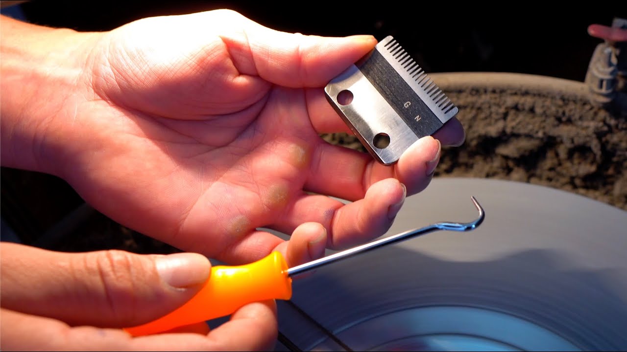 In Depth - How to Professionally Sharpen Any Clipper Blade