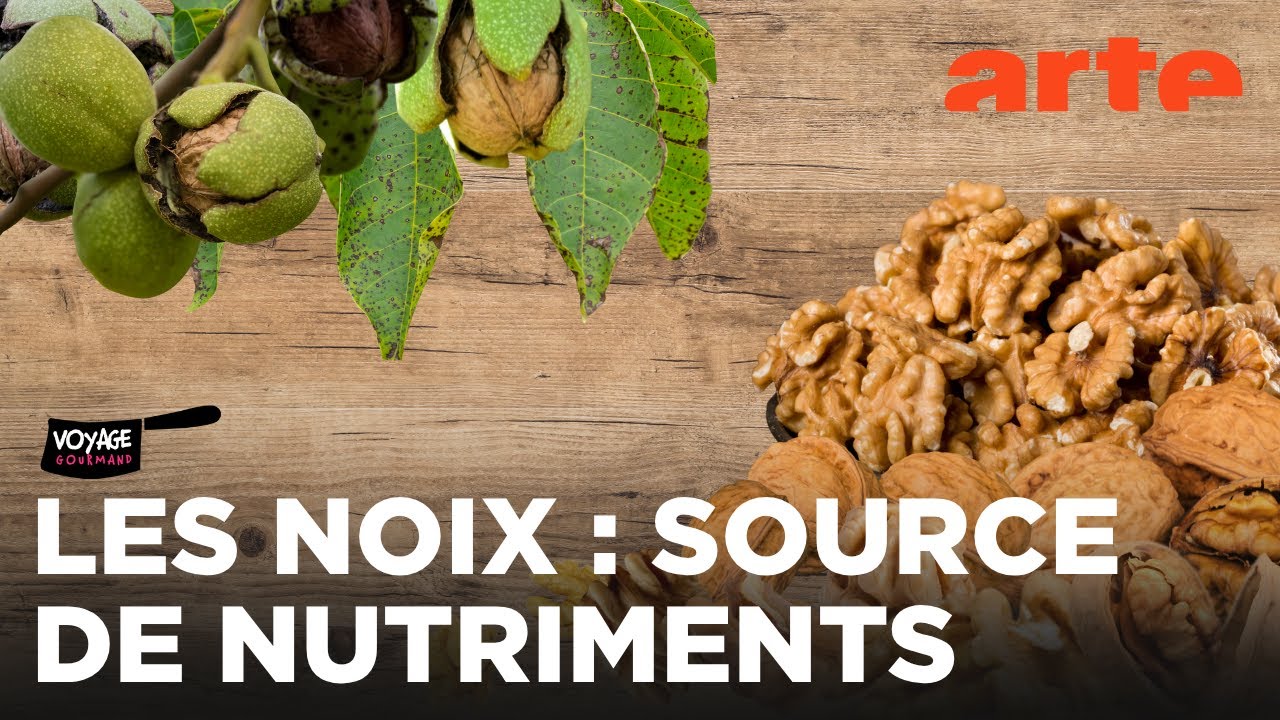 Tout sur les noix | Voyage gourmand | ARTE Family