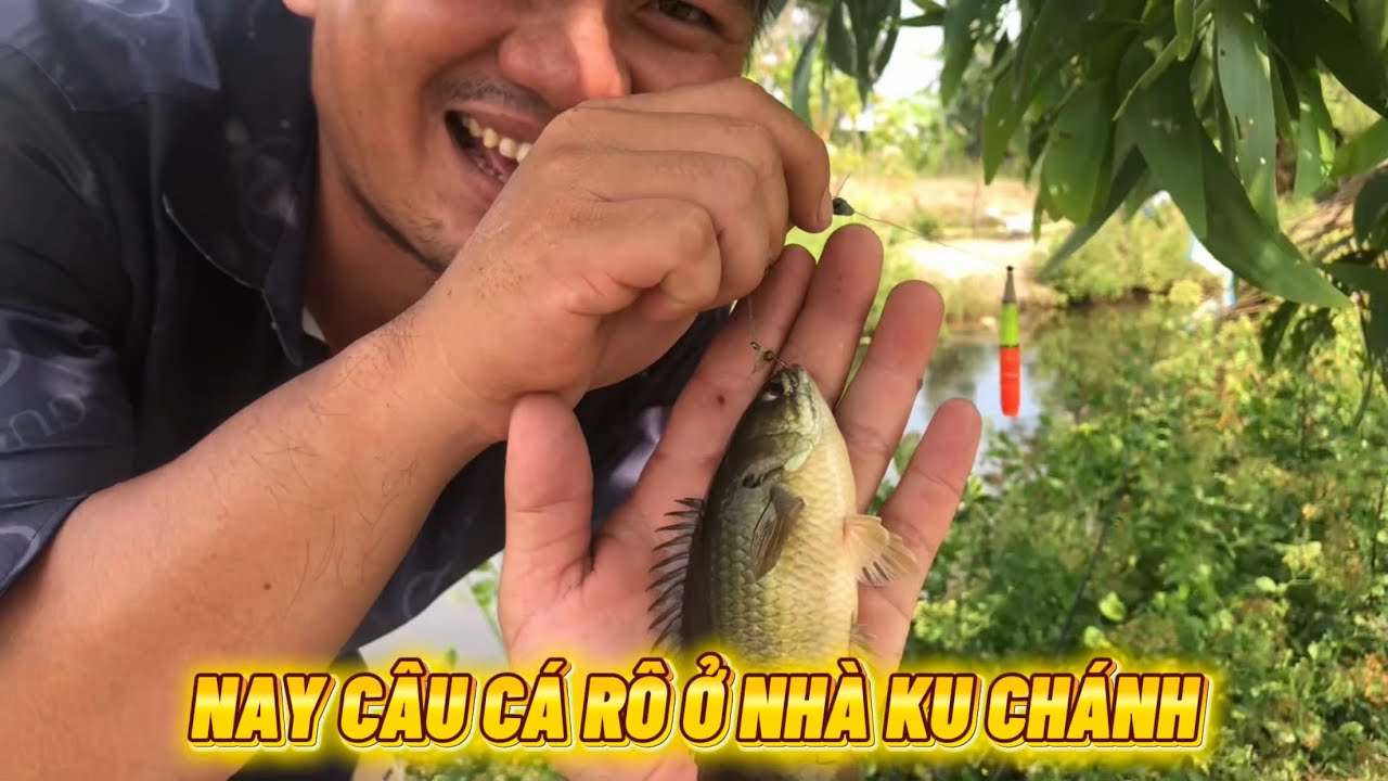 NAY MÌNH ĐI CÂU CÁ RÔ NHÀ ANH 3 VÀ NHÀ KU CHÁNH NHA CẢ NHÀ