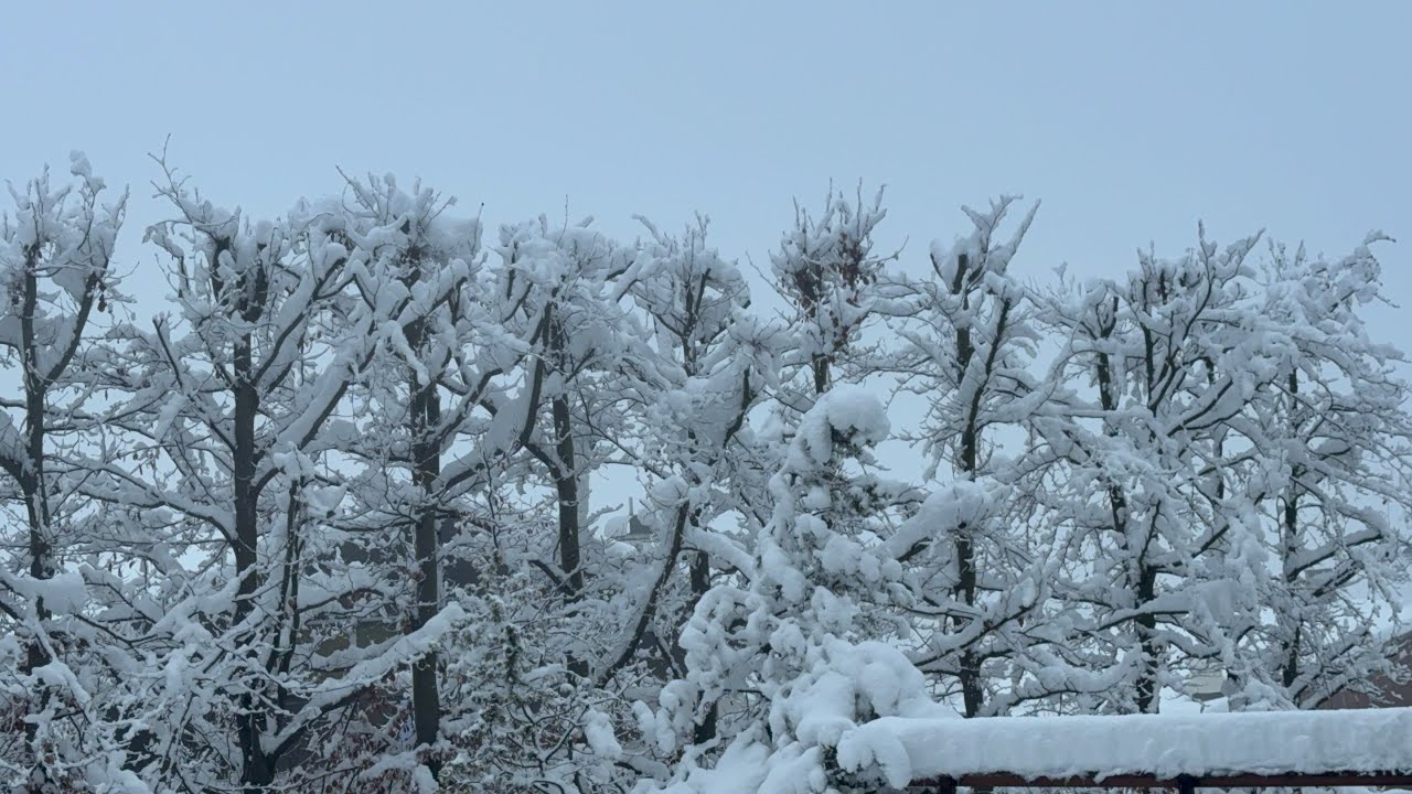 SNOW 3days successive !