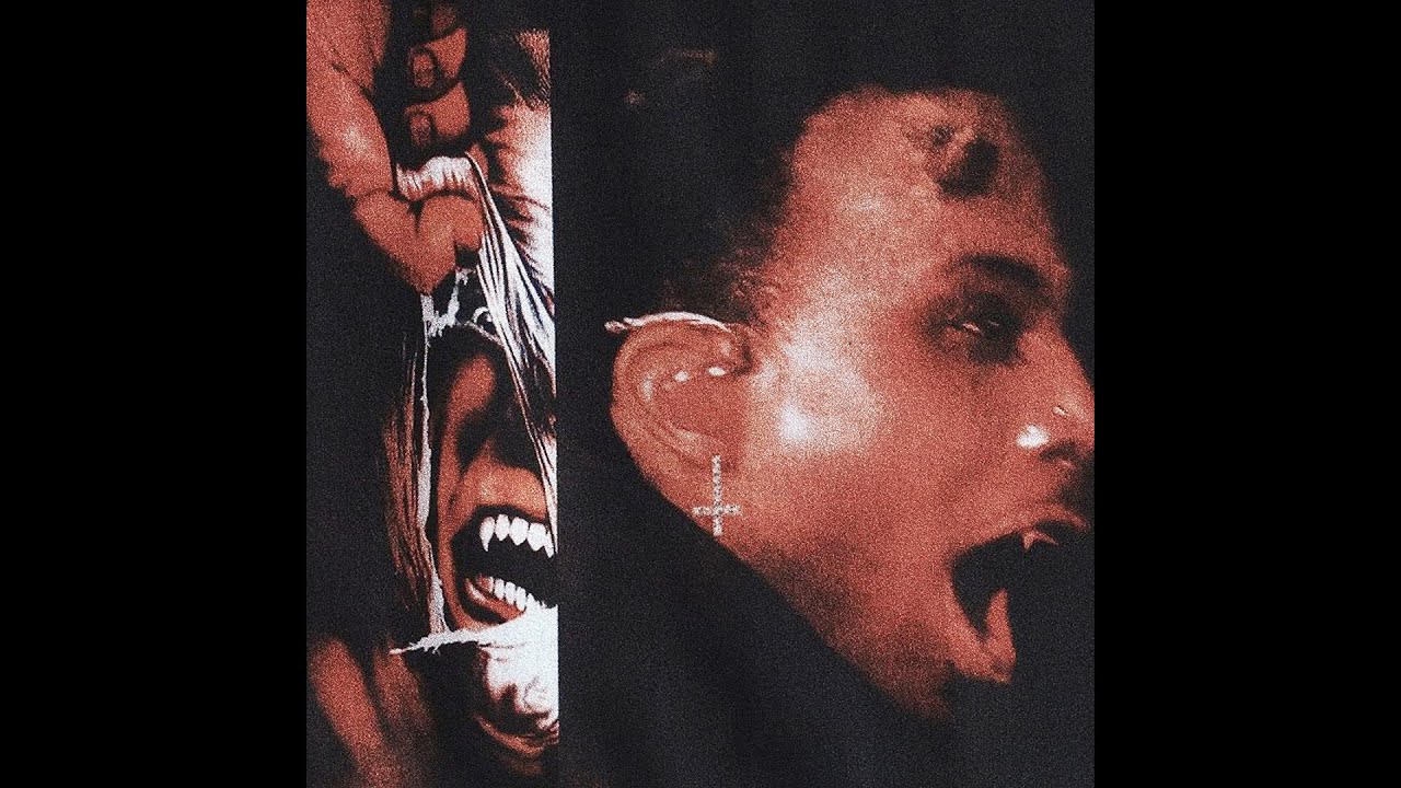 playboi carti x nine vicious type beat - 