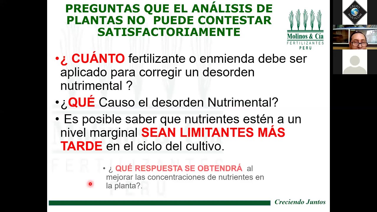 El Arte de la Nutrición Foliar