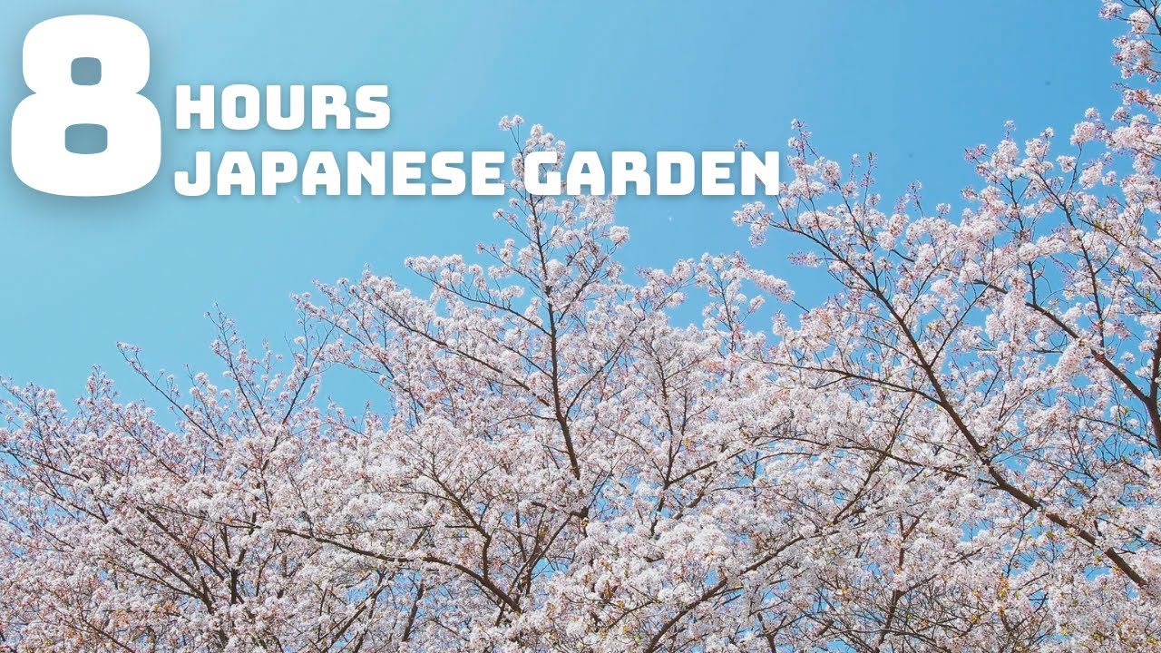 8 Hours | Japanese Garden | ASMR, Sleep, Study, Meditate, Relax
