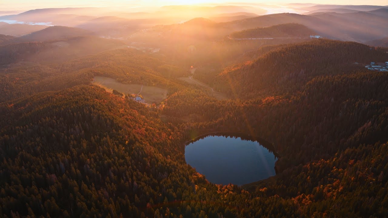 Black Forest from Above