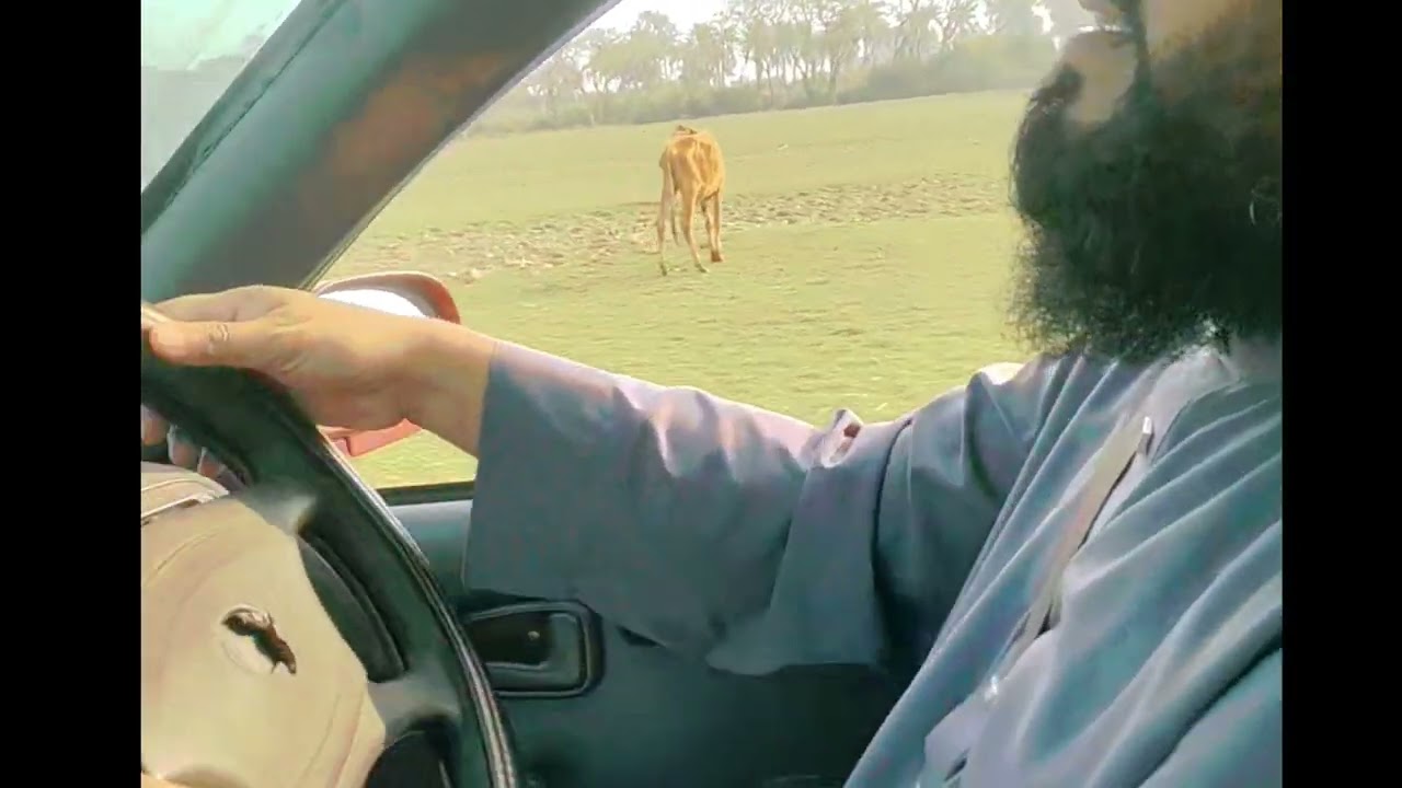 পরিচালকের গাড়ি ড্রাইভ। সীতাকুণ্ড 