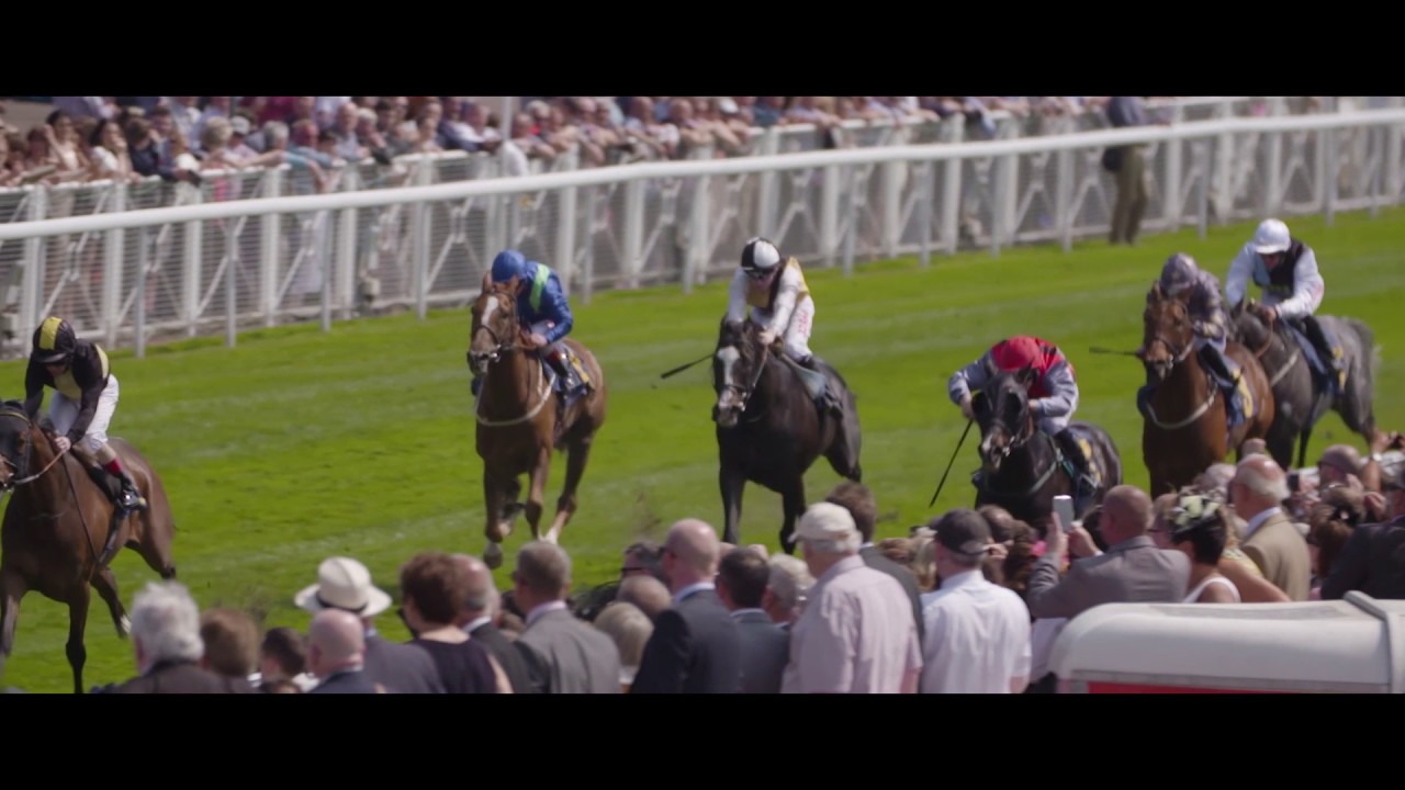 Hospitality at Chester Racecourse